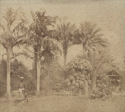 [Gardens, Government House, Allahabad], 1858.