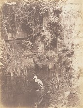 The Heron, 1853-56.