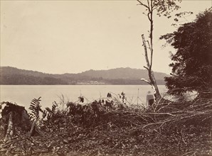 Tropical Scenery, Darien Harbor, Chipigana, 1871.