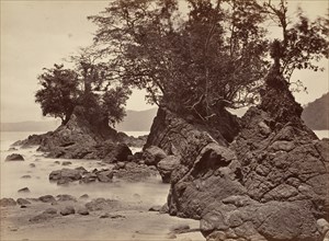 Tropical Scenery, Limon Bay - Low Tide, 1871.