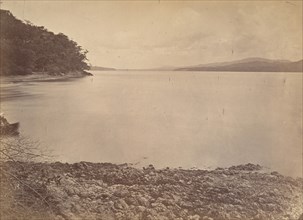 Tropical Scenery, Darien Harbor - Looking South, 1871.