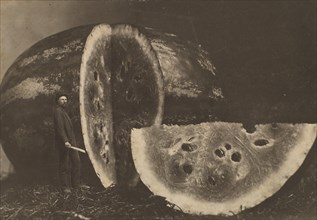 Man Cutting Watermelon, 1898-1903.