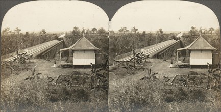 Group of 14 stereographs of Africa and Actors, 1850s-1910s. (Scene Above Bridge, on the Cape to Cairo Railway Over Zambezi River, near Victoria Falls, River.)