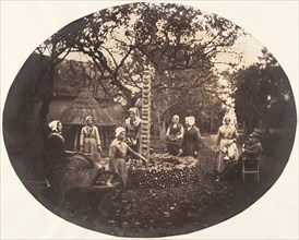 [Women Stacking Carrots], 1854-56.