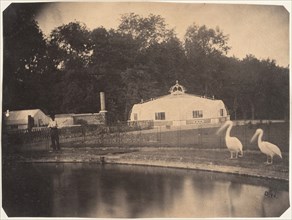 [The Pelicans and Greenhouses, Zoological Gardens, Brussels], 1854-56.