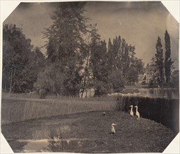 [Heron Pond, Zoological Gardens, Brussels], 1854-56.