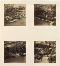 [View in Tropical Department; View of Egyptian Sphinxes], ca. 1859.