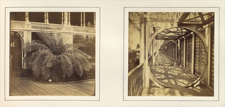 [View of Large Plant with Sign Requesting Viewers Not to Touch; Telescope Gallery], ca. 1859.