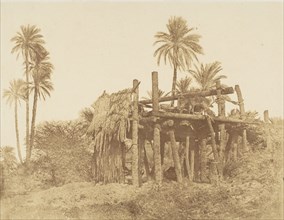 Nubian Sakkieh, or Water Wheel, ca. 1856.