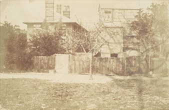 Tree in Yard, 1850s.