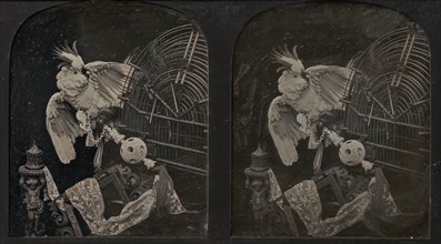 Still-Life with Cockatoo, Ornamental Ball, Lace, Statuette, 1850s.
