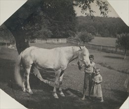 Thomas Eakins's Horse Billy and Two Crowell Children at Avondale, Pennsylvania, ca. 1892.