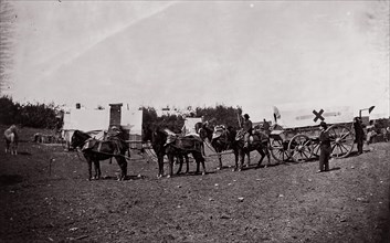 The Crack Team of the 1st Division, 6th Corps near Hazel River, Virginia, 1861-65. Formerly attributed to Mathew B. Brady.