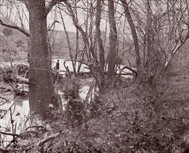 Blackburn's Ford / Rapidan River, The Wilderness, 1861-65. Formerly attributed to Mathew B. Brady.