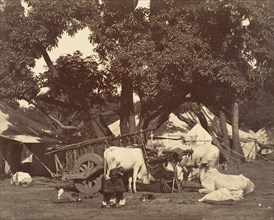 Scene in Camp, 1858-61.