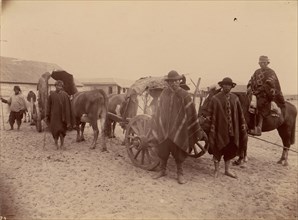 Group of Indians with Cart and Oxen, 1880s.