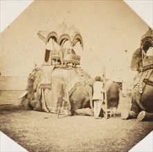 Maharajah Putteala's State Elephant, 1858-61.