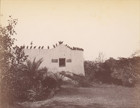Birds on Roof of Small Building, 1860s-70s.