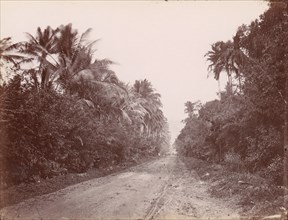 Road Near Singapore, 1860s-70s.