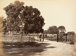 View of Garden, 1850s.