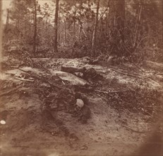The Wilderness Battlefield, 1864. This is where Generals Robert E. Lee and Ulysses S. Grant had fought to a bloody draw in May 1864. It seems likely that these photographs date from the immediate post...