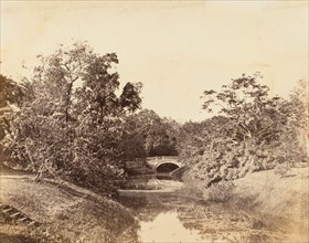 Botanical Gardens, Calcutta, 1850s.