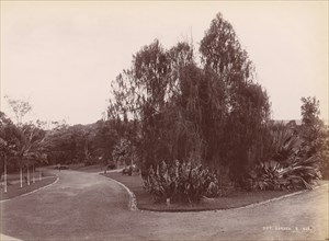 Botanical Garden, 1860s-70s.