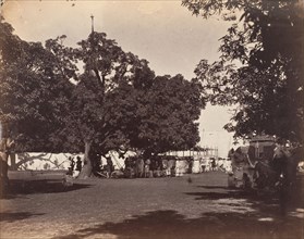Durbar Held at Governor General's Camp,1859.