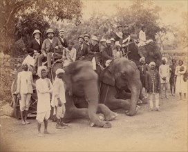 Elephant Group, 1860s-70s.
