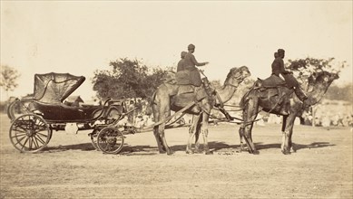 A Travelling Camel Carriage from Lahore to Peshawar, Governor General's Camp, 1858-61.