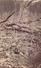 The Wilderness Battlefield, near Spotsylvania, Virginia, 1865 (?).