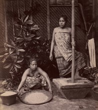 Javanese Women Preparing Rice, 1860s-70s.