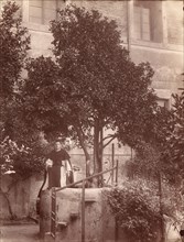 St. Dominic's Orange Tree on the Aventine, 1880s.