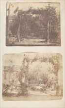 Garden at Umballa, 1850s.