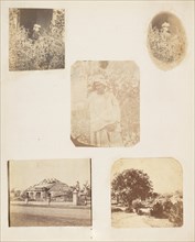 Young Girl in the Garden, 1850s. [A Bungalow after Cyclone].