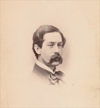 David Johnson, 1860s.