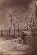 The Wilderness Battlefield, 1864.