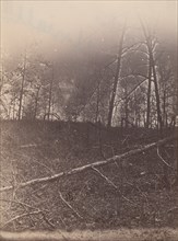 [The Wilderness Battlefield], 1864.