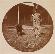 Snapshot: Dog and Man, ca. 1890.