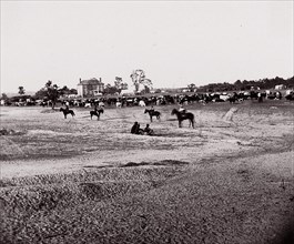 [Herd of Horses]. Brady album, p. 123, 1861-65. Formerly attributed to Mathew B. Brady.