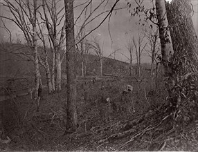 Bull Run, Virginia, 1861-62.