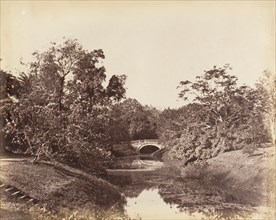[Botanical Gardens, Calcutta], 1850s.