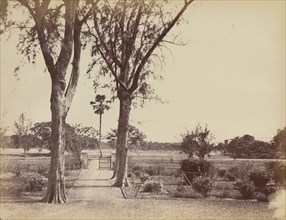 Garden in Indigo Districts, 1850s.