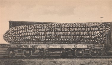 A Car Load of Texas Corn, ca. 1910.