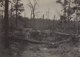 Battle Field of New Hope Church, Georgia No. 2, 1860s.