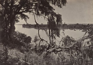Savanah River, Near Savanah, Georgia, 1860s.