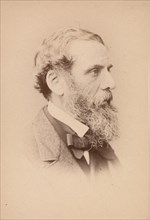 Richard Ansdell, 1860s.
