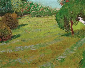 Garden with Weeping Willow, 1888. Creator: Gogh, Vincent, van (1853-1890).