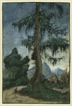 Landscape with a spruce, ca 1522. Creator: Altdorfer, Albrecht (c. 1480-1538).