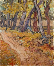 Path in the garden at the asylum at Saint-Rémy, 1889. Creator: Gogh, Vincent, van (1853-1890).